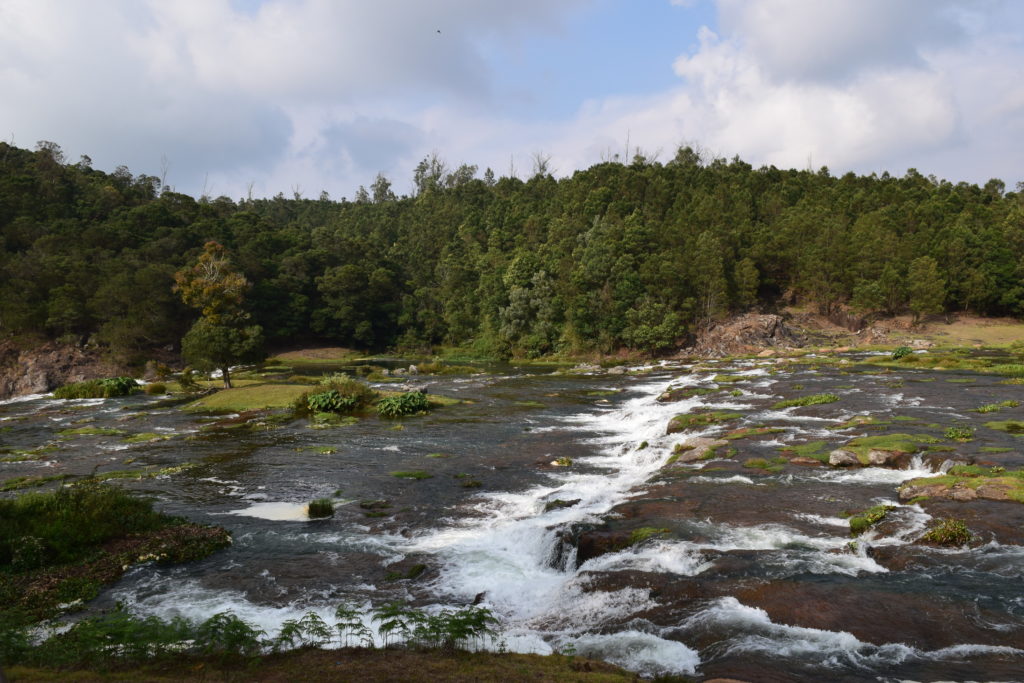 Pykara Falls Ooty