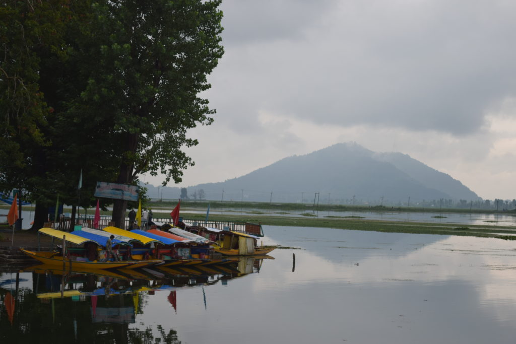 Shikara at Dal Lake, one of the top Srinagar, India points of interest