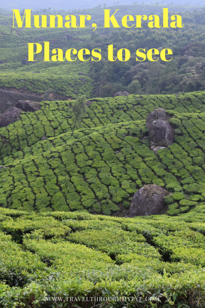 Munnar, Places to visit