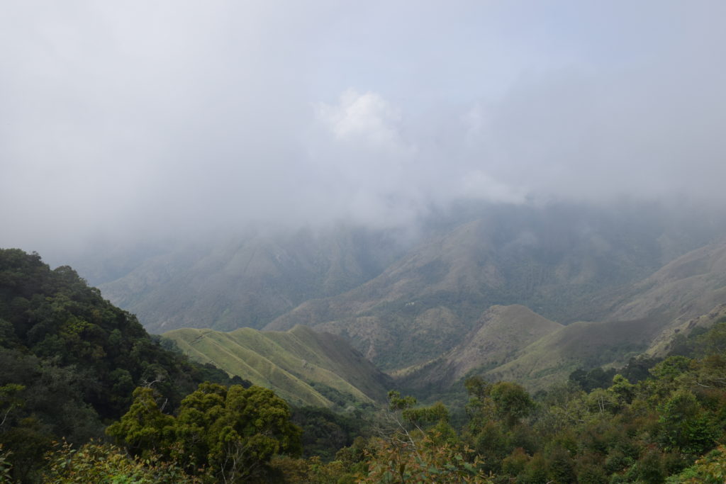 Places to visit near Munnar- Top Station