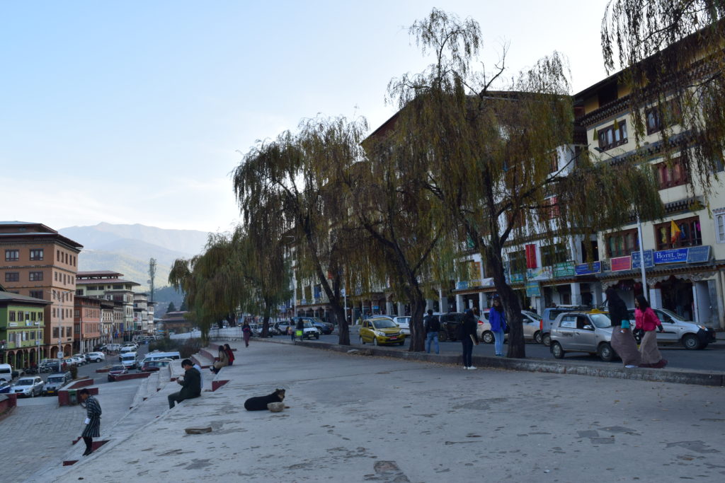 Thimphu city from out hote