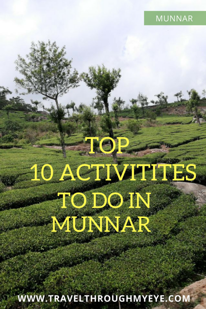 What to do in Munnar