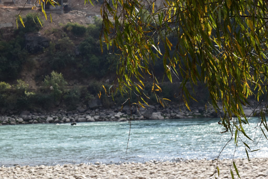 Punakha Sightseeing