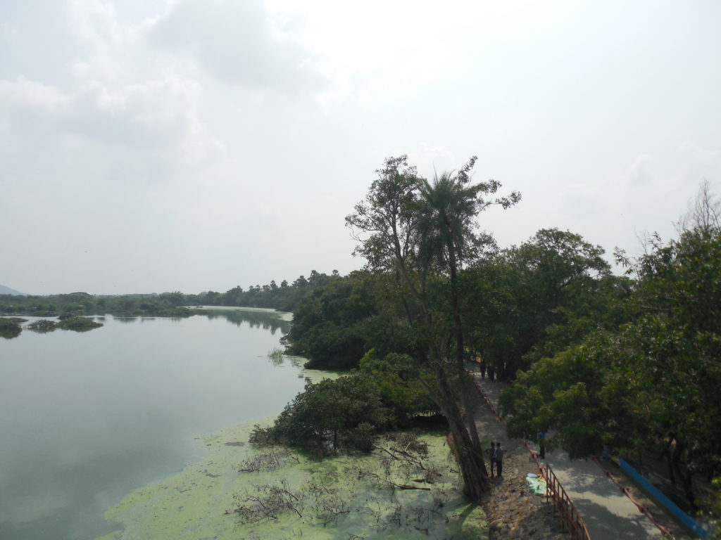  Vedanthangal Bird Sanctuary- Day trips from Chennai