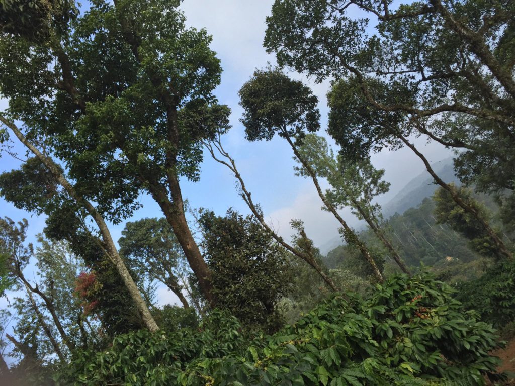 Coorg Attractions