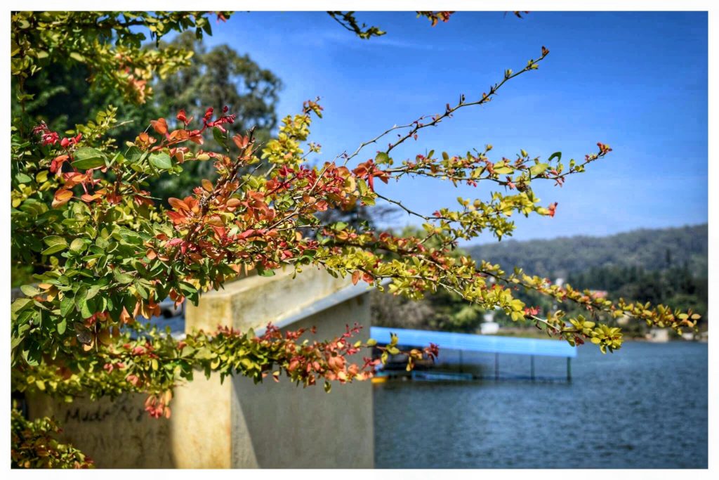 Punganoor lake,Yelagiri