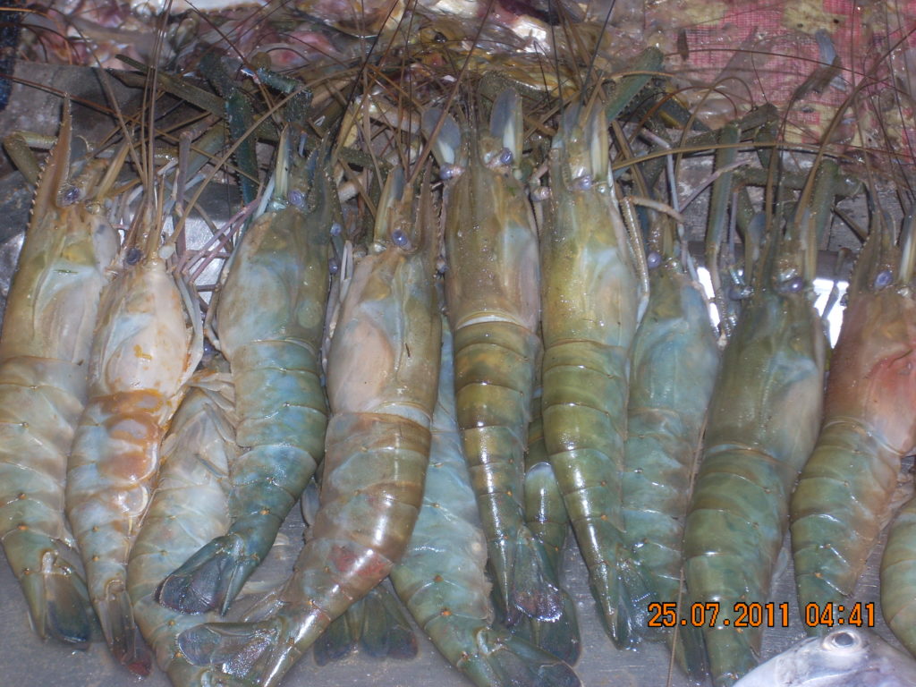 Street Food near Puri Beach Road