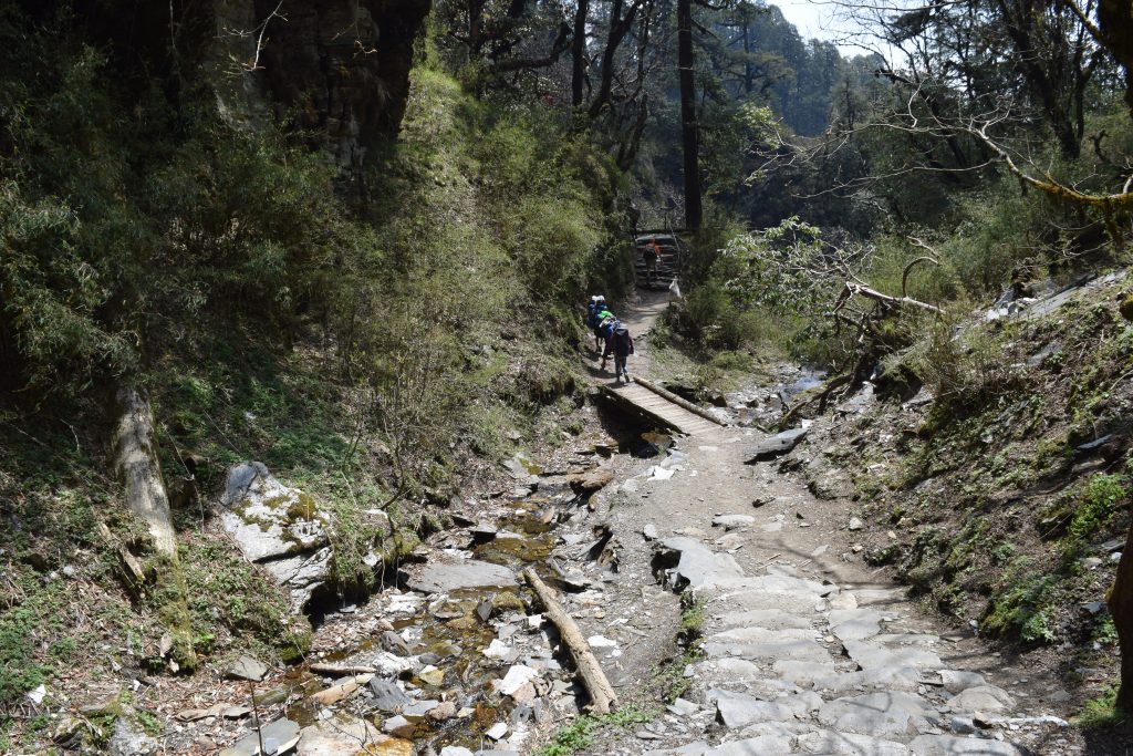 Ghorepani to Tadapani