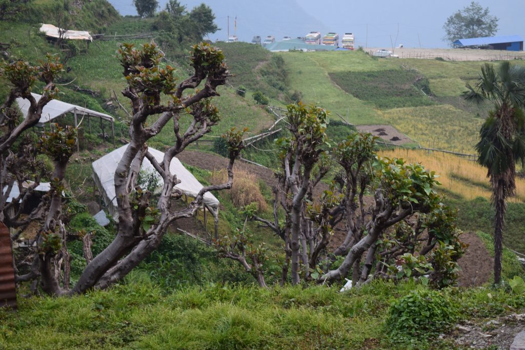 Ghandruk in Poon hill Trek