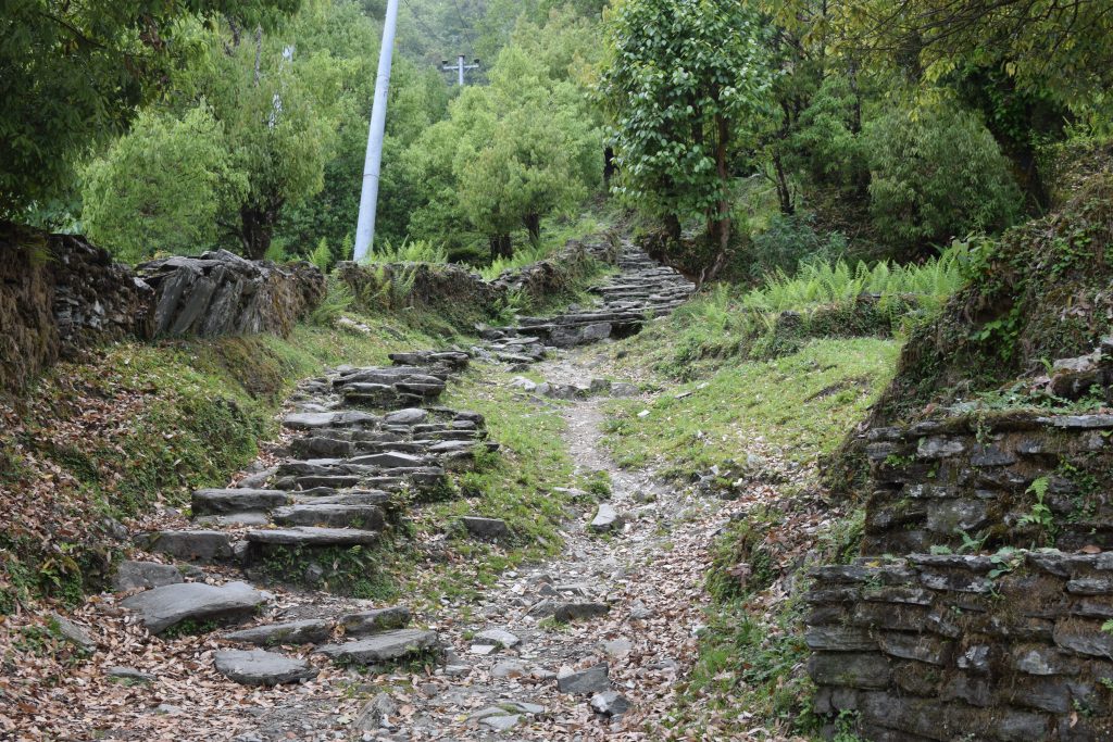 Ghorepani Trekking