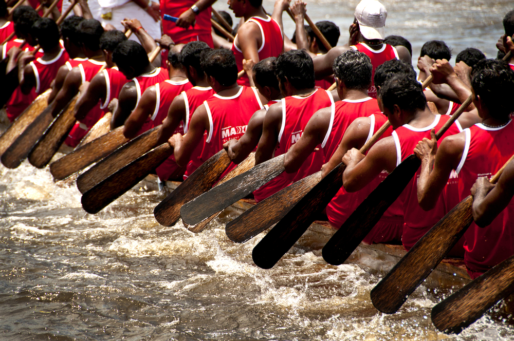 Snake Boat Race