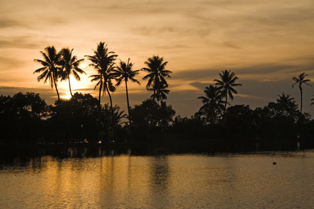 Kerala Boat Race