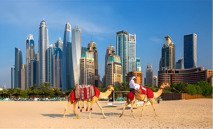 Dubai Mice Tourism